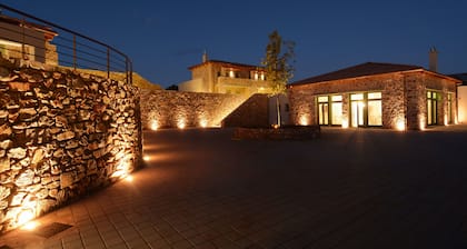 Foresta in Medias Mores