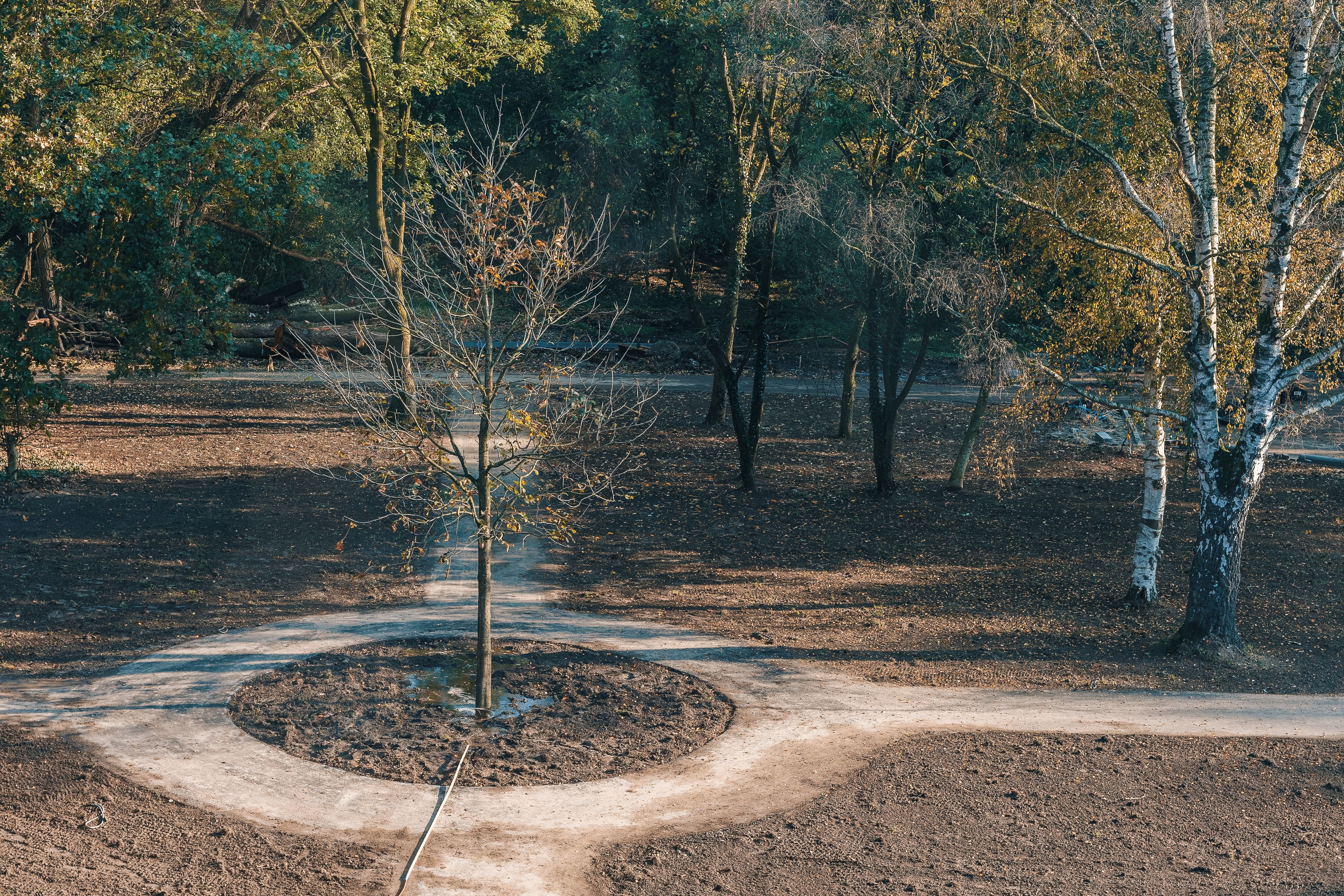 A dirt path curving through a park with trees and a small circular clearing.