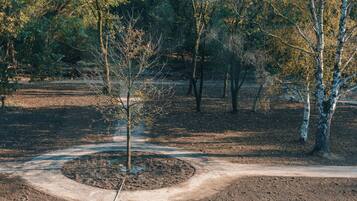 A dirt path curving through a park with trees and a small circular clearing.