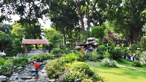 A garden with a pond, rocks, and various plants. - The Berry Vinhomes Luxury Apartments (Ho Chi Minh City)