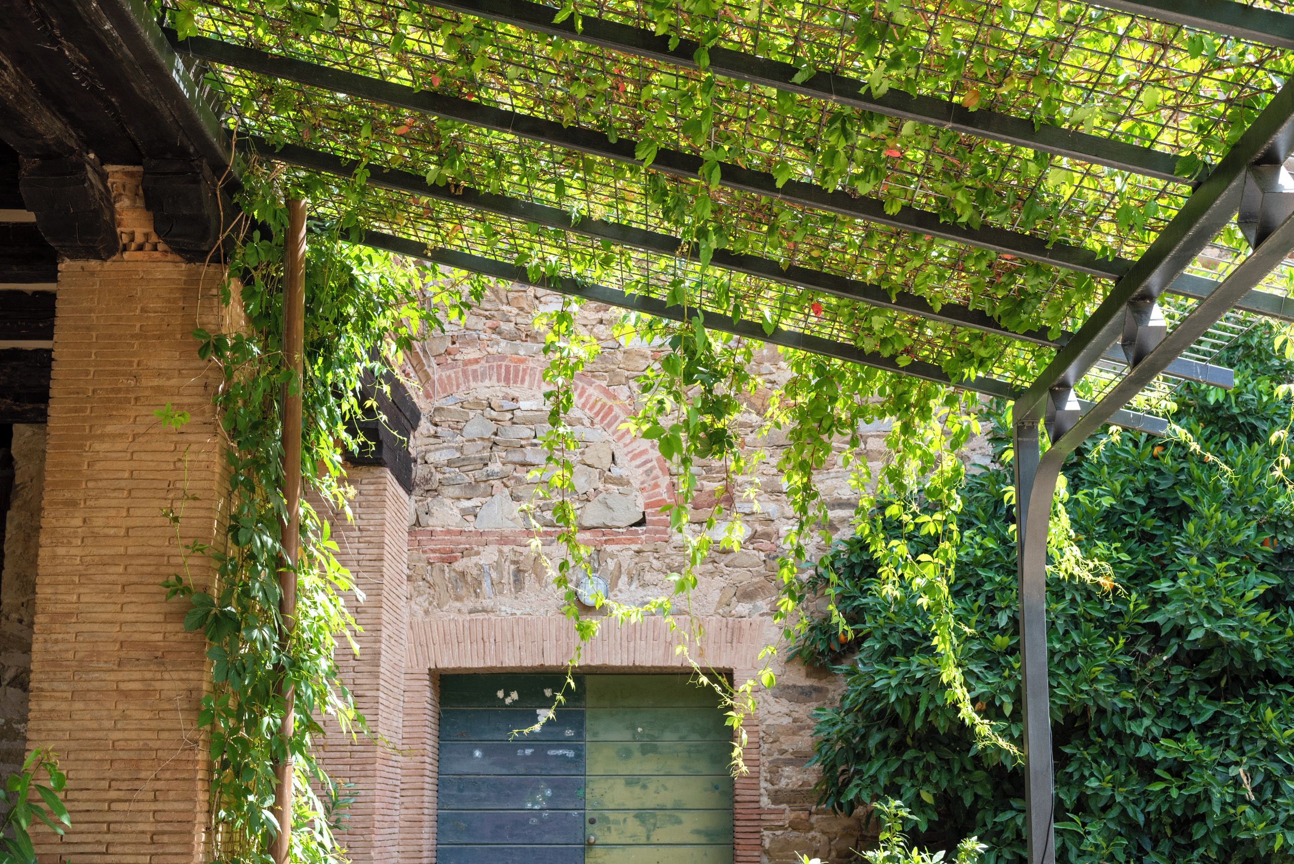 Parede de tijolos com pérgola de metal coberta por trepadeiras verdes.