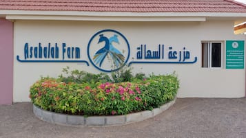 Front of property