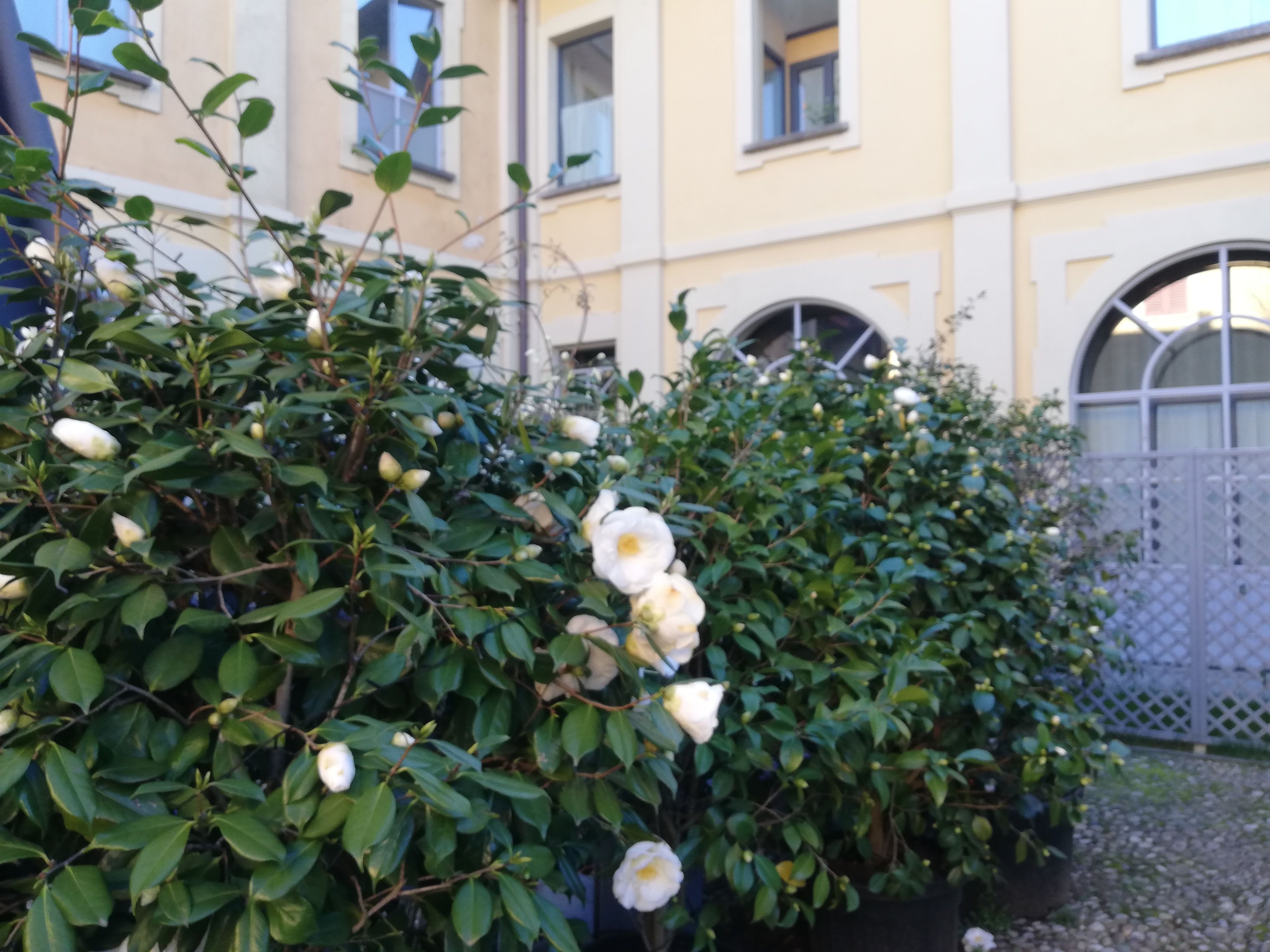 Double or Twin Room | Courtyard view