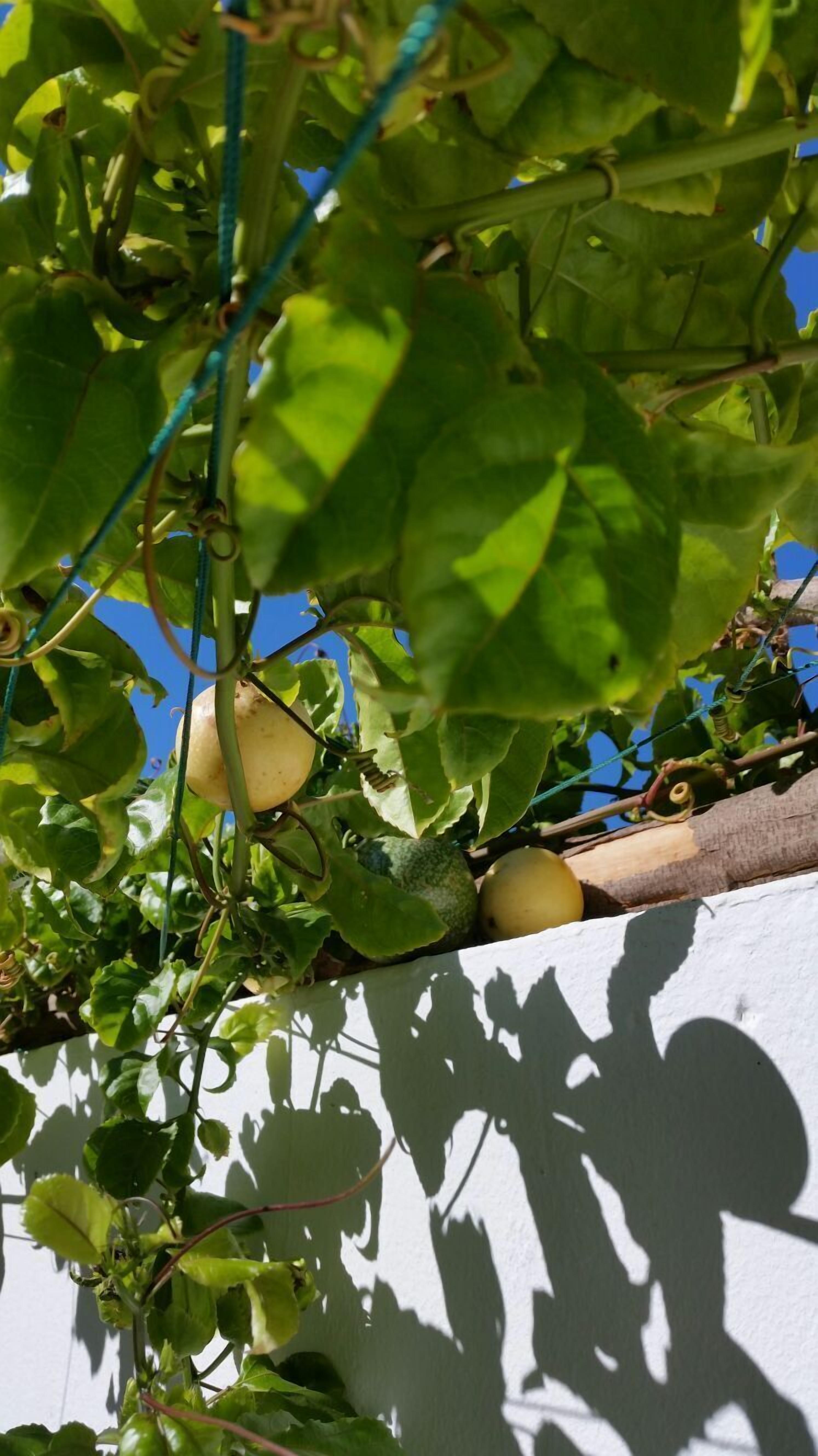 Photo - Timanfaya Casa Rural