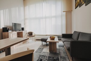 Apartamento standard | Área de estar | TV de tela plana