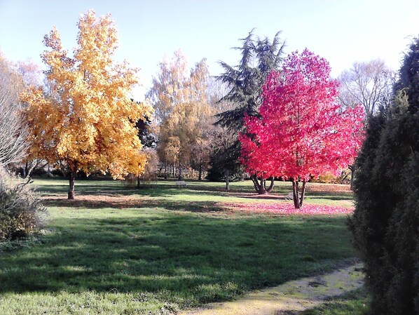 Garden - Enzo Hotels Bulgneville By Kyriad Direct (Bulgneville)