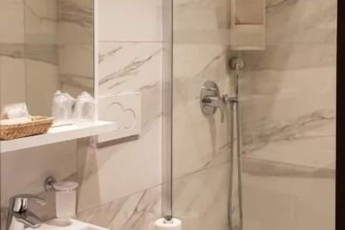 shower, free toiletries, hair dryer, bidet