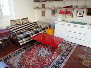 Smart TV, DVD player, books, computer monitors