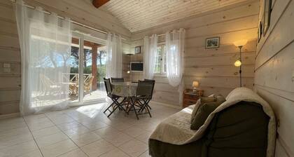 House for 8 people located in a wooded park in Gassin