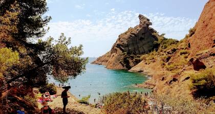 House with pool, summer kitchen, shaded terrace, large garden