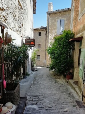 Property grounds - House with pool, summer kitchen, shaded terrace, large garden  (Orgon)