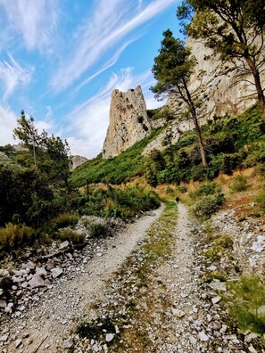 Exterior - House with pool, summer kitchen, shaded terrace, large garden  (Orgon)