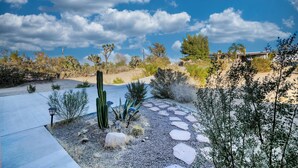 Un paysage désertique avec un chemin pavé, des cactus et un bâtiment en arrière-plan.