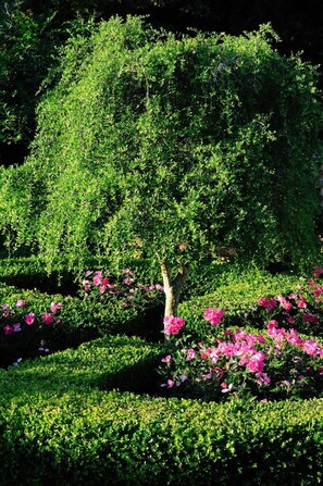 Jardines del alojamiento