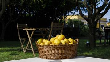 Una cesta de mimbre llena de limones sobre una mesa blanca en un jardín con sillas y árboles.