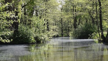 Ett skogsområde med ett stilla vatten där träden speglas.