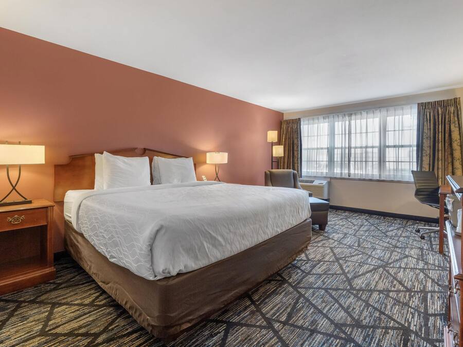 Standaard kamer, 1 kingsize bed, niet-roken, koelkast & magnetron | Een bureau, een laptopwerkplek, een strijkplank/strijkijzer, gratis wifi