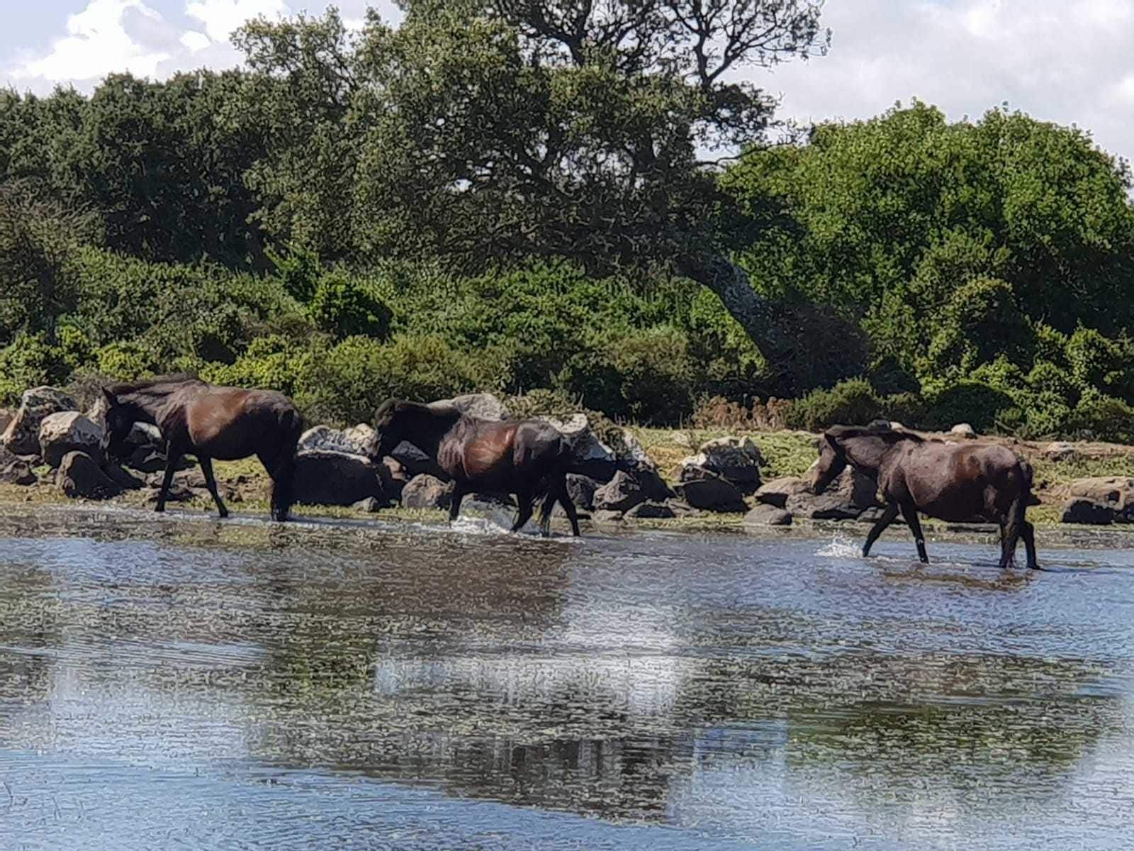 Foto - Borgo Antico XIX sec.