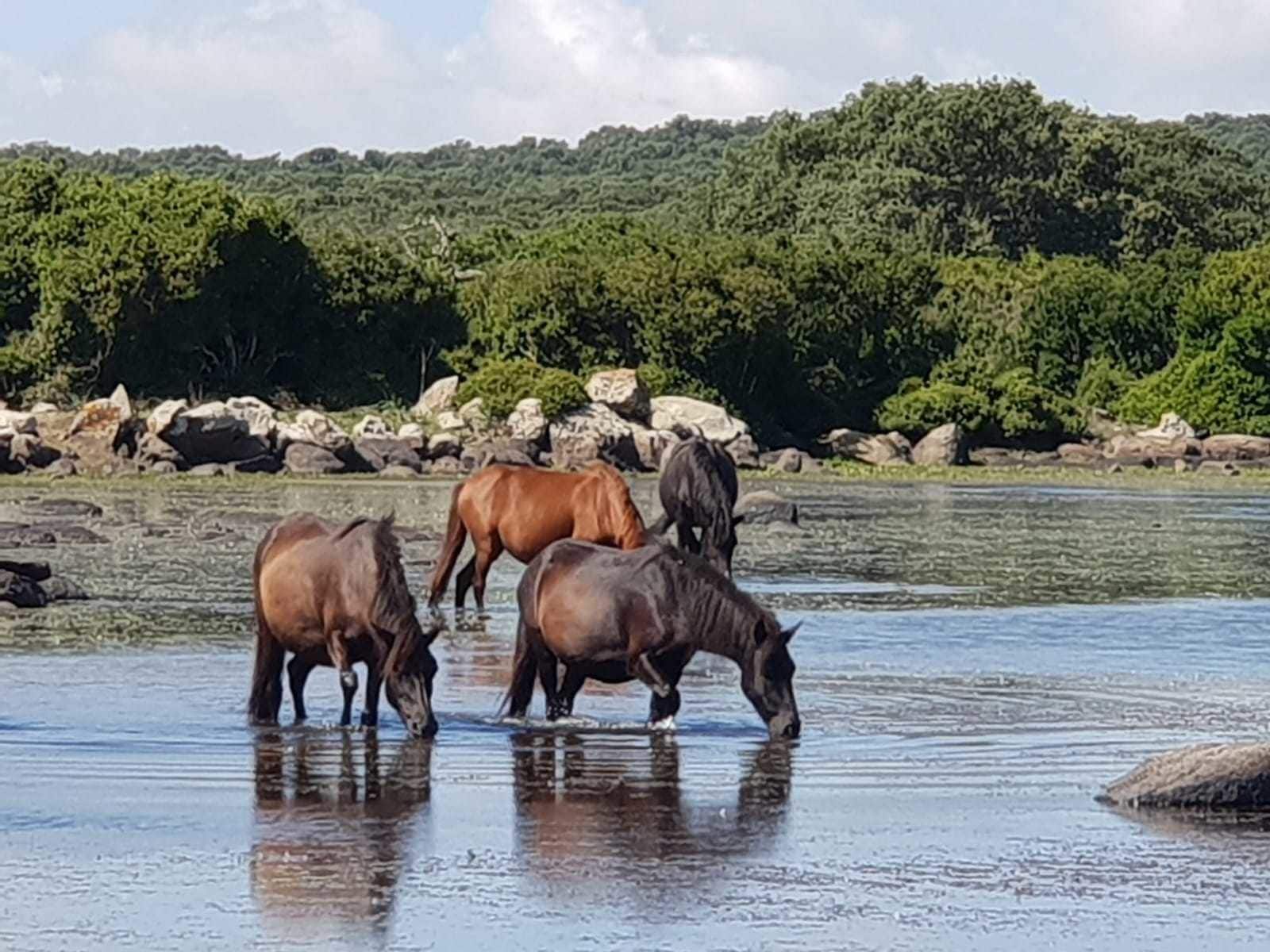 Foto - Borgo Antico XIX sec.
