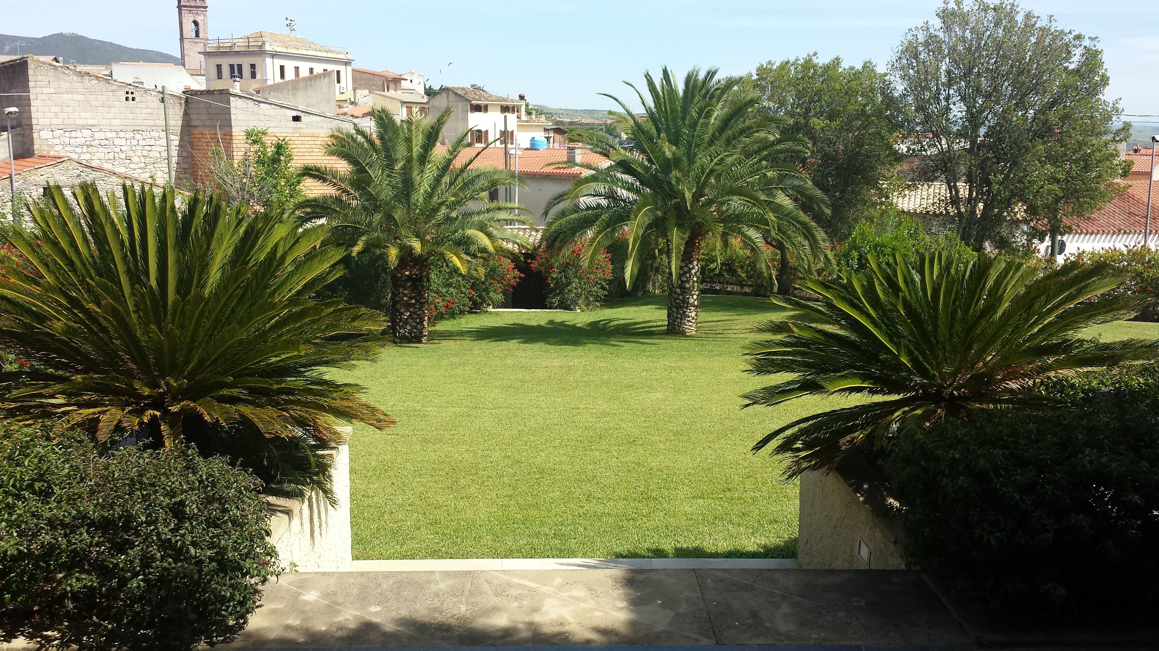 A courtyard with a well-maintained lawn, palm trees, and a stone wall.