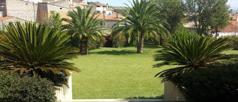 A courtyard with a well-maintained lawn, palm trees, and a stone wall.