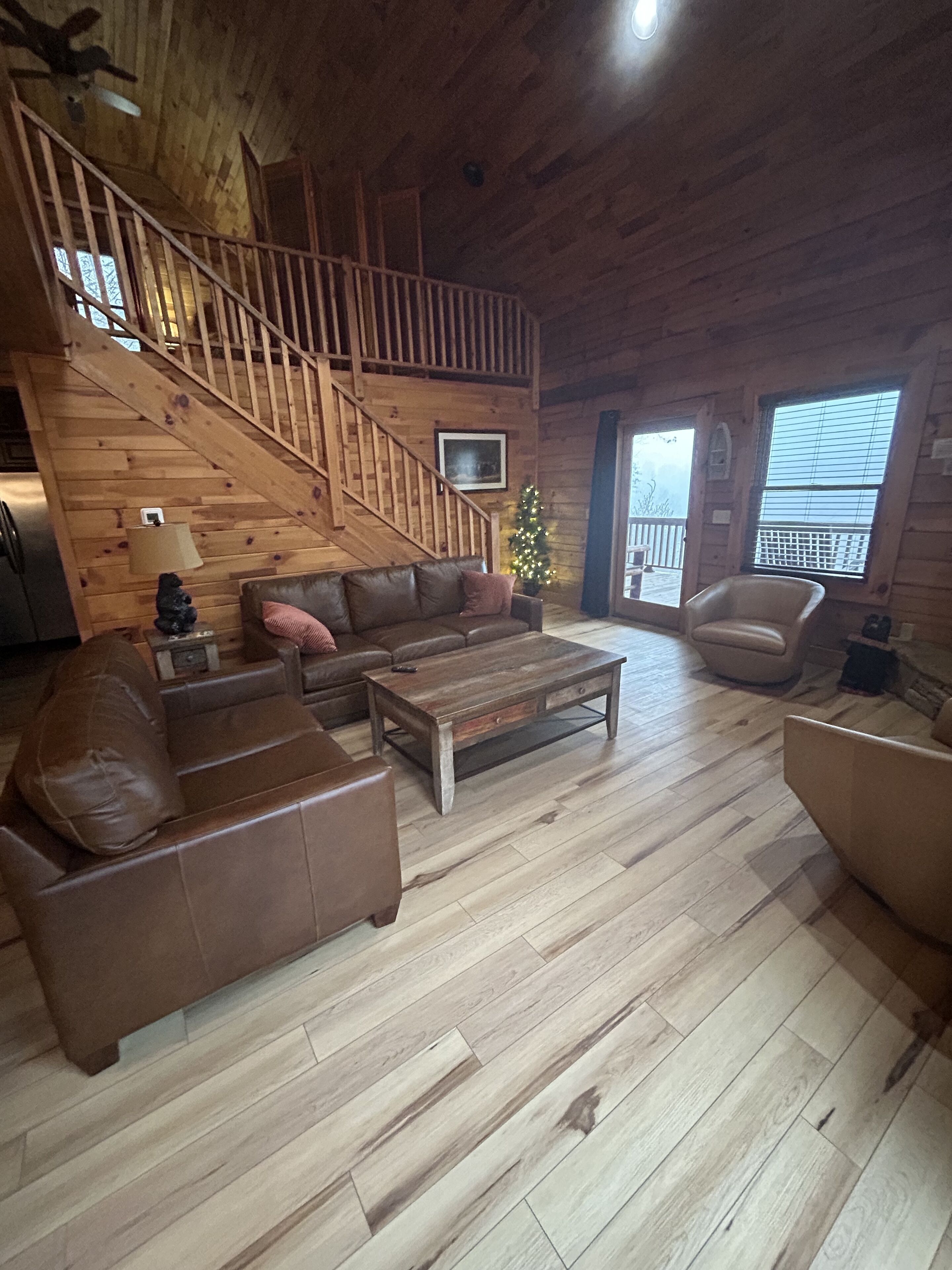 Smart TV, fireplace, books, video library