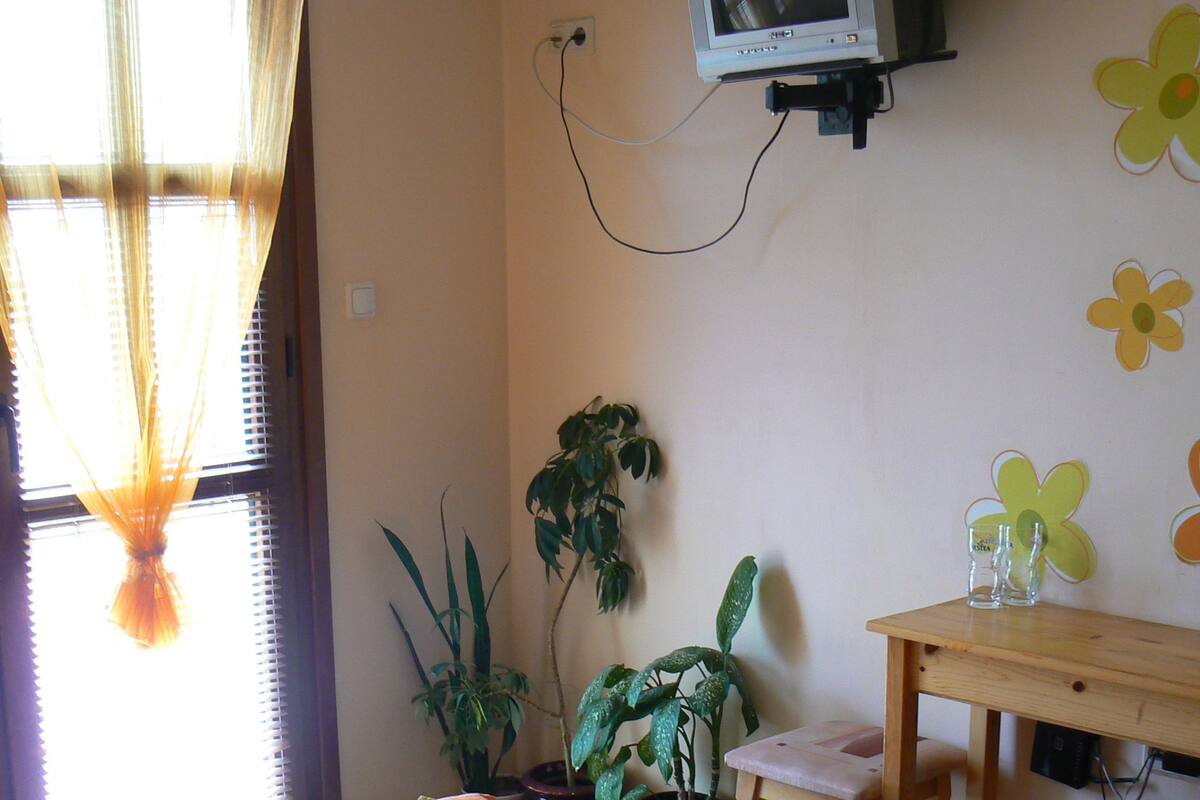 A room with two beds, a television on the wall, a desk, and potted plants.
