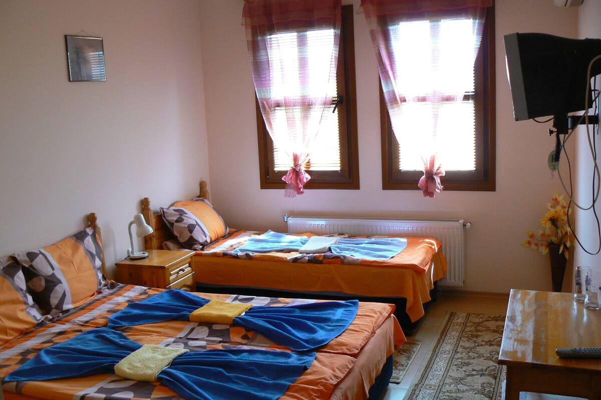 A room with two beds, a desk, a chair, a TV, and a radiator.