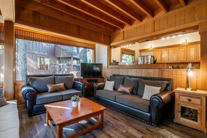 Fernseher, Kamin, DVD-Player