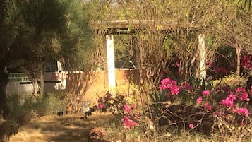 Jardin