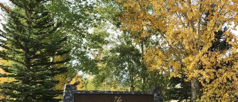 Terrein van de accommodatie