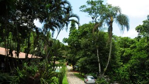 A pathway leading to a building surrounded by lush greenery and a small stream. - Hotel Daniela (Itatiaia)