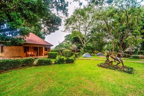 Property grounds - Banana Village (Entebbe)