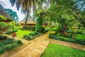 Property grounds - Banana Village (Entebbe)