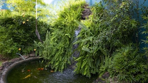 Un estanque con plantas acuáticas y una pequeña cascada, rodeado de abundante vegetación.