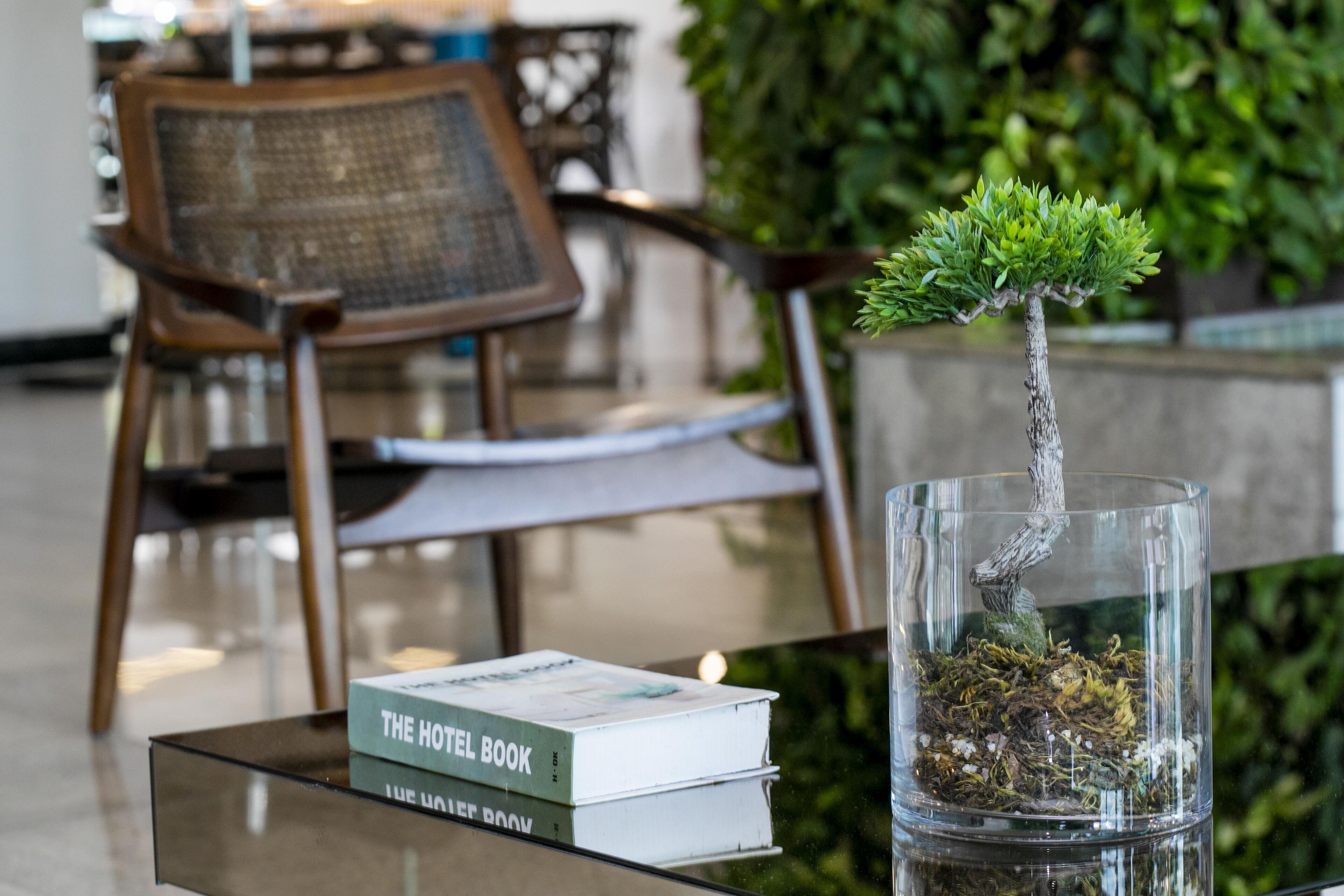 Foto - Castelo Inn Hotel