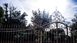 Detalle del exterior