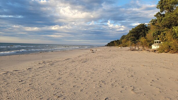 Ein Strand mit sandigem Ufer, ein kleines weißes Gebäude und ein bewaldetes Gebiet mit einer Schaukel.