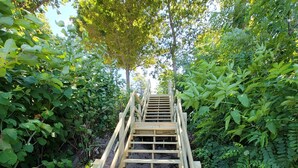Eine hölzerne Treppe führt einen Hügel hinauf, umgeben von dichtem Grün und Bäumen.