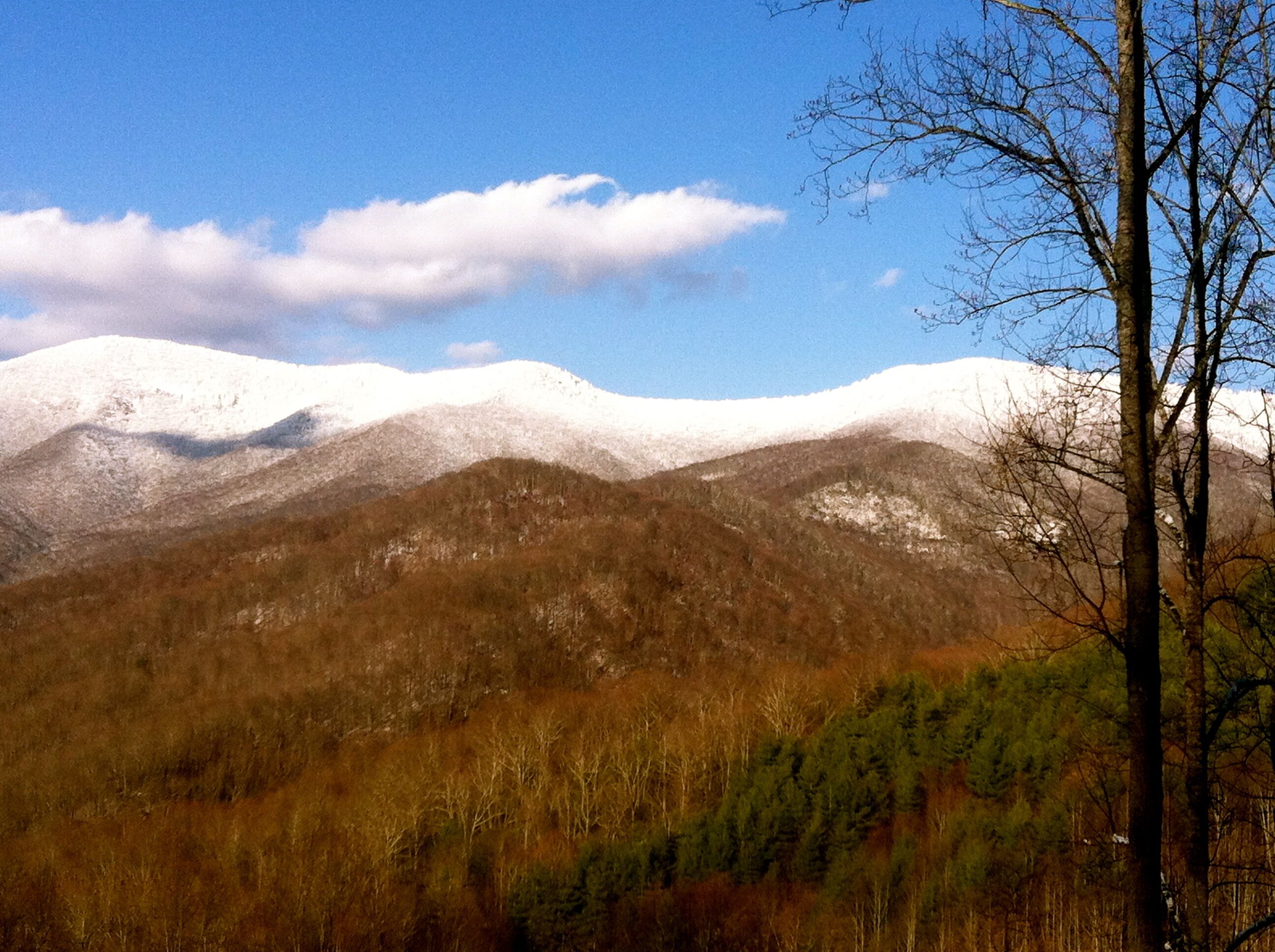 A mountainous landscape with snow-capped peaks and a forested valley.