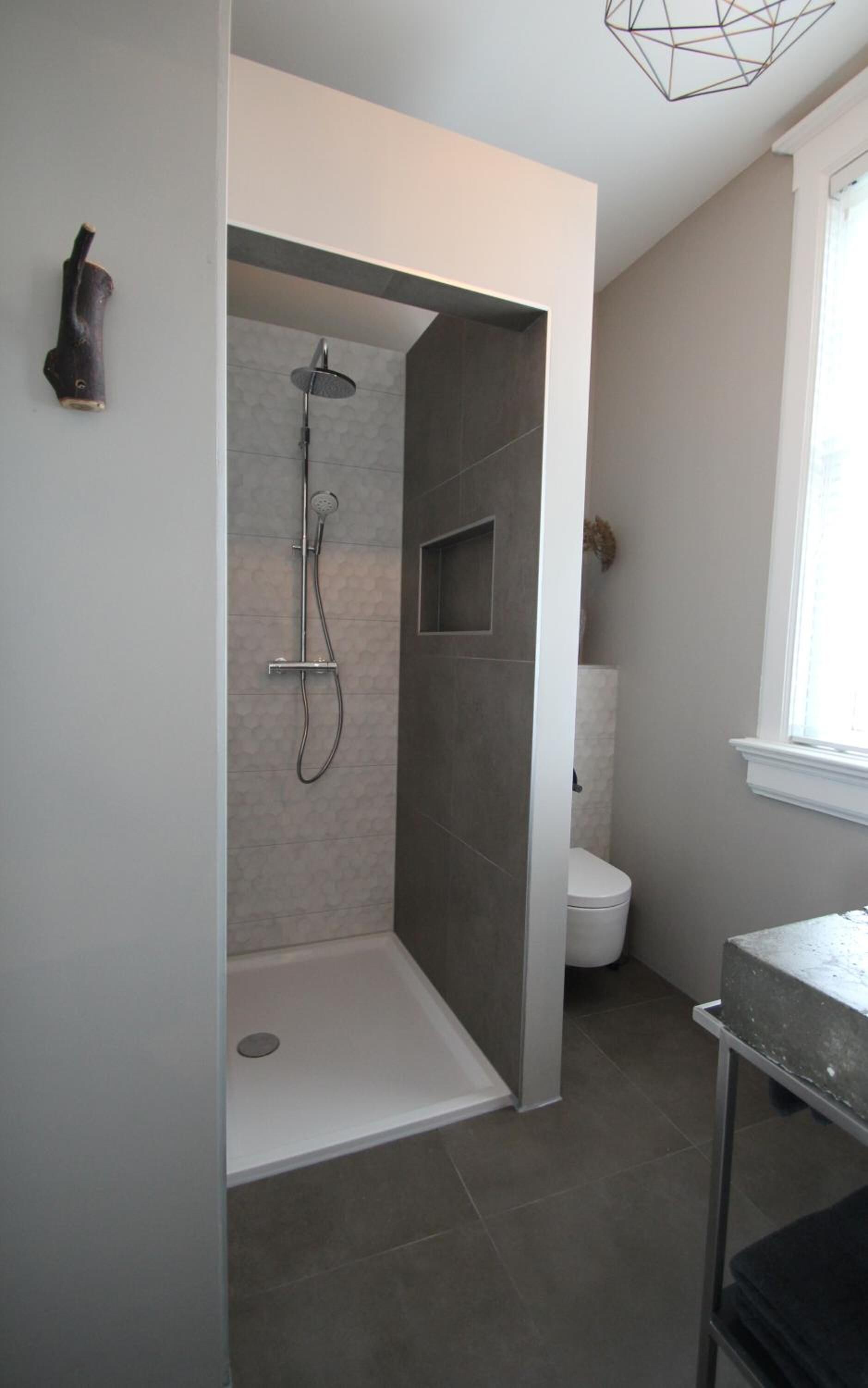 A modern bathroom with a walk-in shower, a toilet, and a sink.