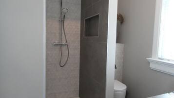 A modern bathroom with a walk-in shower, a toilet, and a sink.