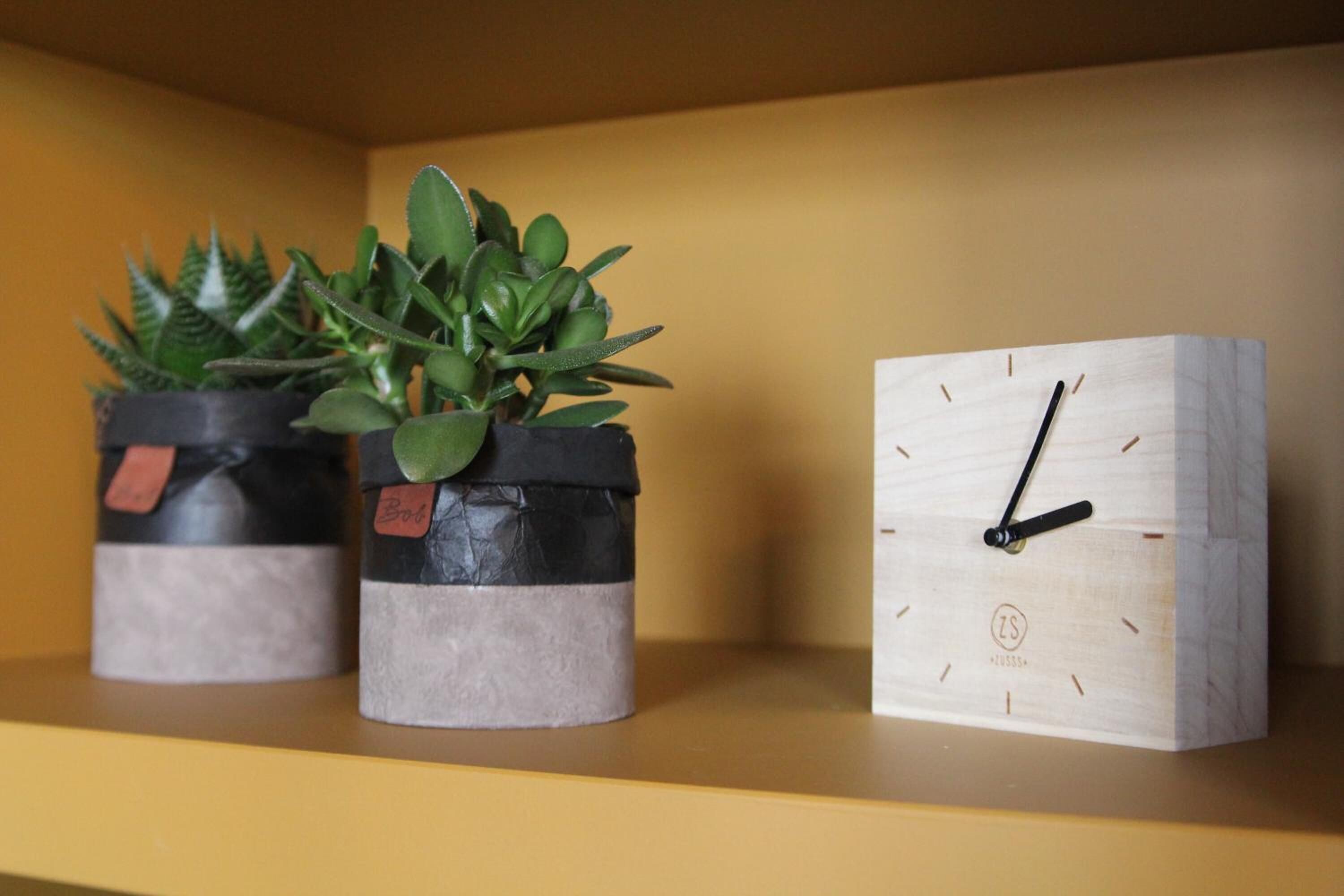 Dos plantas en macetas sobre una estantería junto a un reloj de madera.