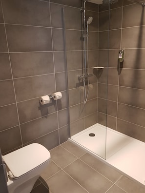 Eco-friendly toiletries, hair dryer, towels