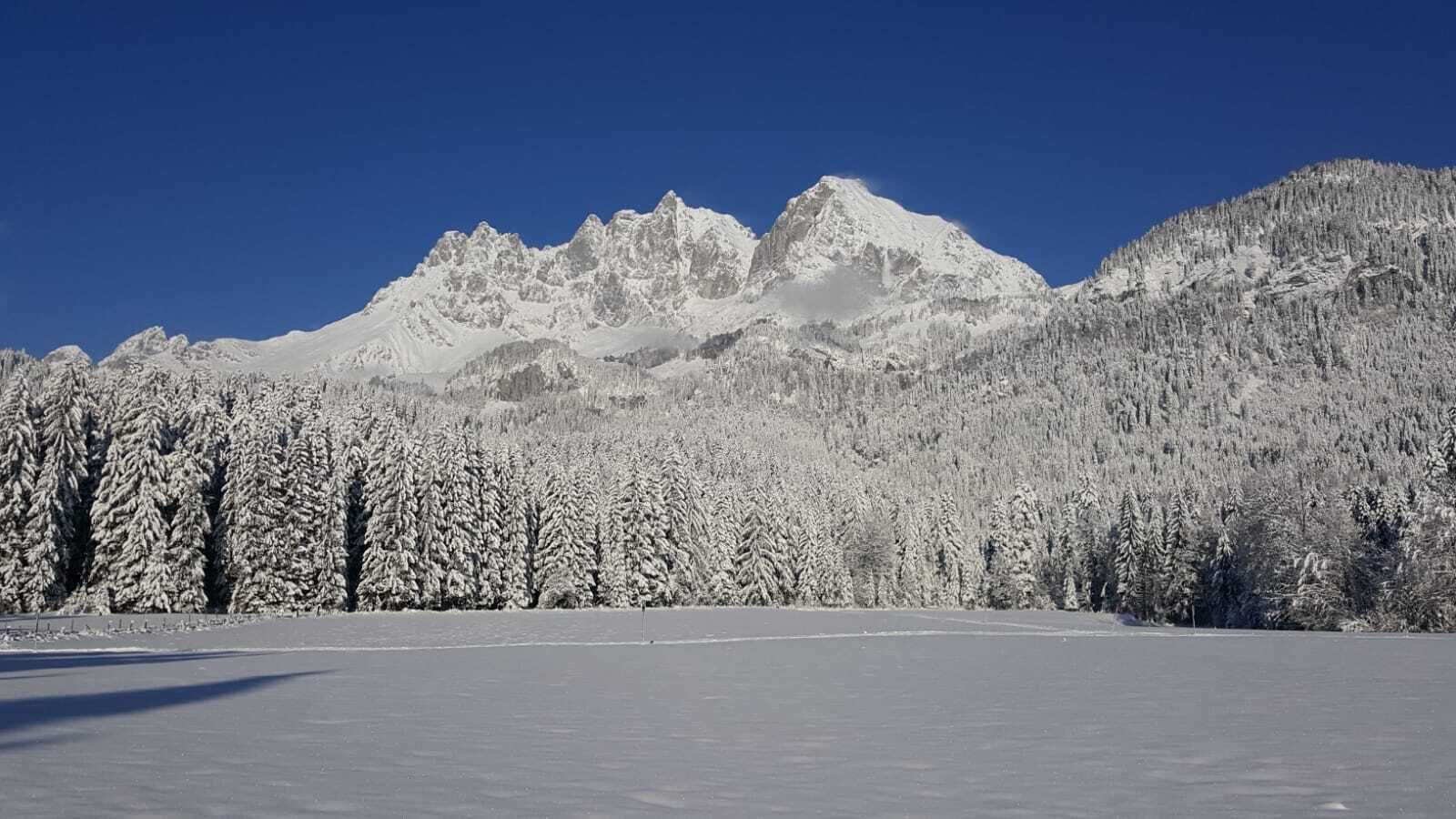 滑雪运动