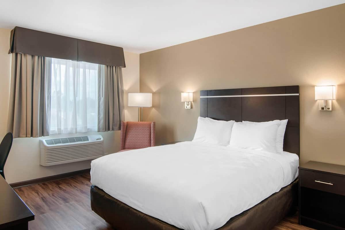 Ropa de cama de alta calidad, escritorio y cortinas blackout