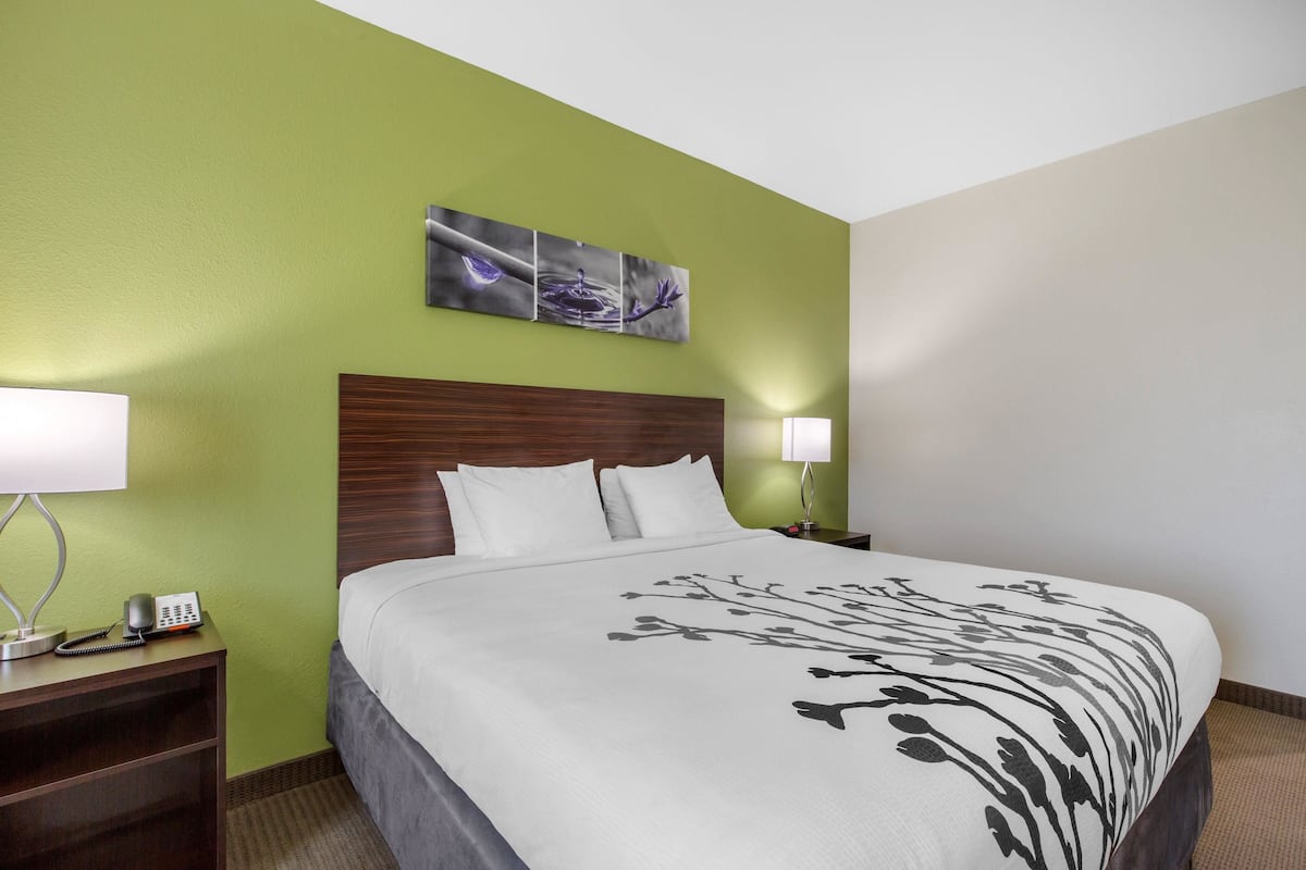 Ein Hotelzimmer mit einem großen Bett, grünen Wänden, einem Holz-Kopfteil, weißer Bettwäsche, einem Nachttisch mit Lampe und einem Telefon.