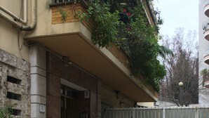 A courtyard with a tiled floor, potted plants, and a building entrance. - Domum Vaticani (Rome)