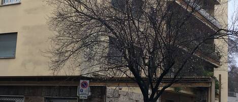 A building with multiple floors, balconies, and a tree in front.