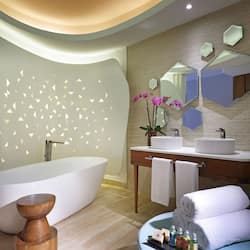 Separate tub and shower, jetted tub, rainfall showerhead